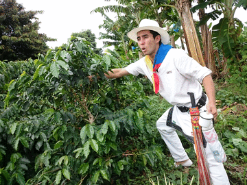 Führung auf der Kaffeeplantage Recuca