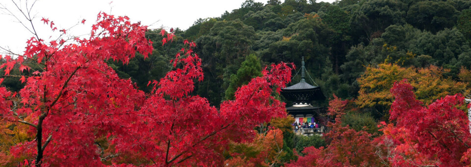 Reisebericht Japan - Kyoto